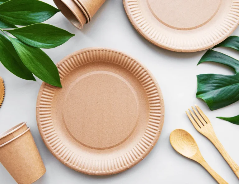Platos Desechables Elegantes para Bodas
