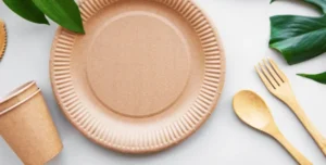 Platos Desechables Elegantes para Bodas