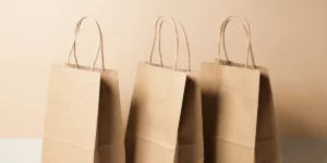 bolsas desechables kraft