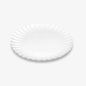 plato de cartón blanco para comida rapida