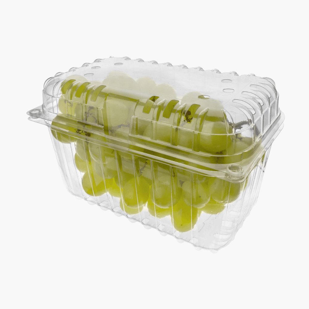 Envase Clamshell para Frutas 750 g | Transparente y Apto Freezer | 189×121×120 mm